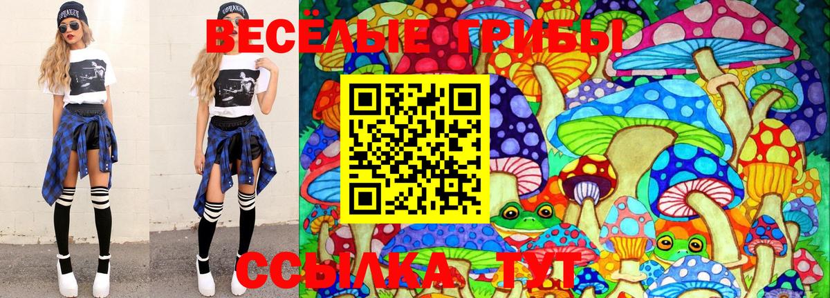 Чебаркуль  Галлюциногенные грибы Magic Shrooms  купить наркотики цена  Вход с VPN  Псилоцибиновые грибы мухоморы 